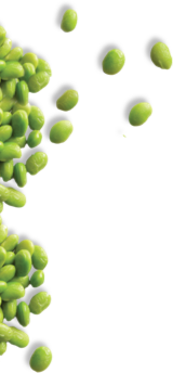 Conoce Isola Bio