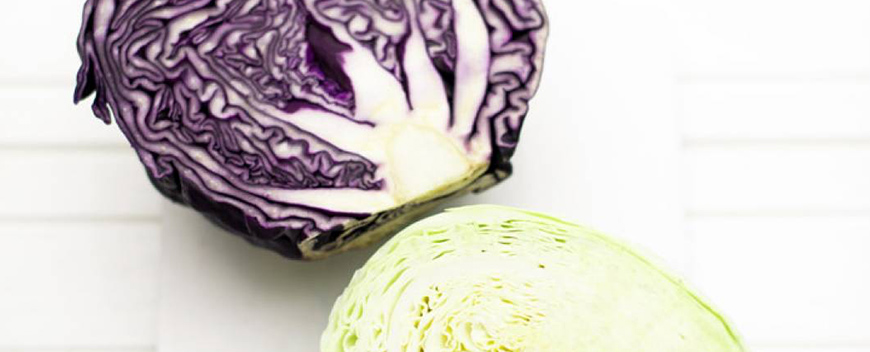 contorni insalata coleslaw a