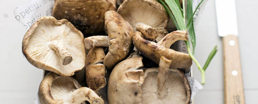 primi polpette soia funghi a