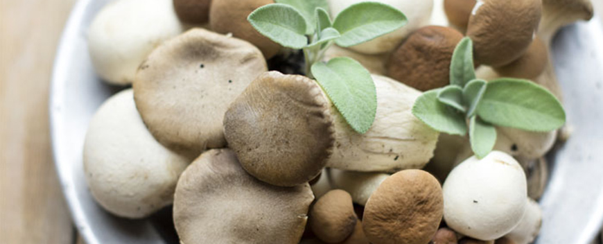primi risotto funghi a