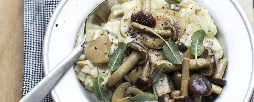 primi risotto funghi b